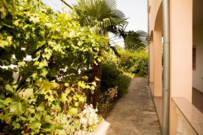 Apartments Nonno